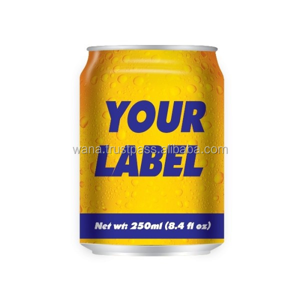 Best Private Label 250ml Canned Energy Drink