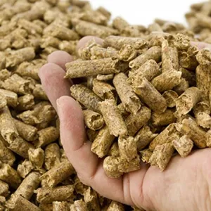 Cheap RICE HUSK Pellets 100% Biomass Fuels - Whatsapp: Heating System