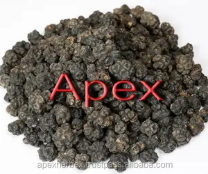 Morinda Ririfolia Noni Trái Cây Khô Hữu Cơ Apex Ấn Độ