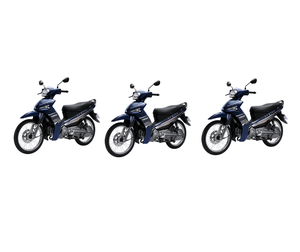 Nouvelle Meilleure Vente Moto 115cc Certifiée CE Moteur 4 Temps Essence/Diesel Fabriquée au Vietnam (Bleu/Blanc) - Product Image 6
