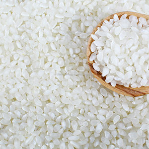 ข้าวพันธุ์พม่า - Product Image 4