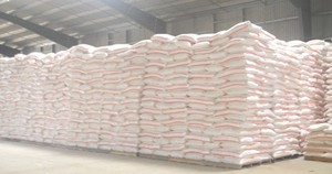 แป้งมันสำปะหลัง/แป้งมันสำปะหลังจากเวียดนาม2024 - Product Image 5