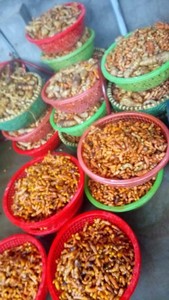 ขมิ้นดิบ ขมิ้นสด ราคาขายส่ง ขมิ้นในเวียดนาม - Product Image 4