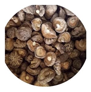 Bon prix | Champignon shiitake entier séché Vendeur du Vietnam - Product Image 1