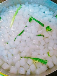 Cubes de nata de coco premium du Vietnam |   Gelée de noix de coco moelleuse pour boissons et desserts - Product Image 6