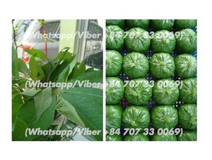 Tapioca Congelada/ Yuca Congelada - Product Image 6