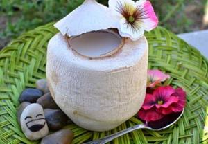 Coco fresco/agua de coco fresco a la venta al mejor precio de Vietnam - Product Image 2