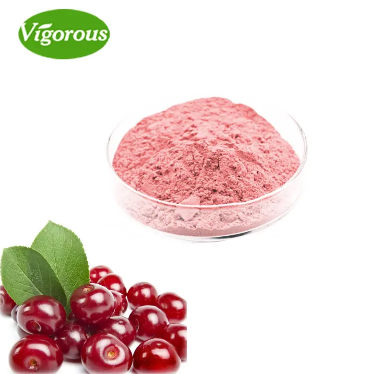 Voedingssupplement 17%-32% Vc <span class=keywords><strong>Acerola</strong></span> Cherry fruit extract <span class=keywords><strong>poeder</strong></span>