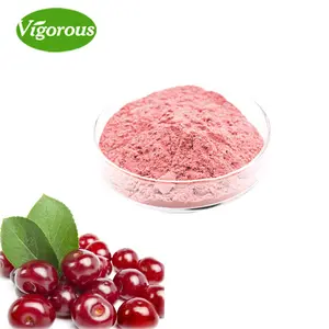 Nahrungsergänzungsmittel 17%-32% Vc Acerola Kirsche fruit extract pulver
