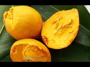 ข้อเสนอผลไม้ lucuma ออร์แกนิกจากเวียดนาม - Product Image 4