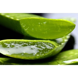 เจลว่านหางจระเข้บริสุทธิ์สำหรับบำรุงผิวและดูแลเส้นผมครีมบำรุงผิวจากธรรมชาติ - Product Image 5