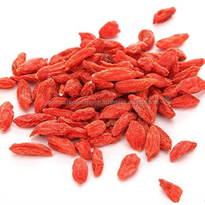 Aceite de semilla de goji prensado en frío orgánico líquido 100% puro exportador certificado GMP - Product Image 2