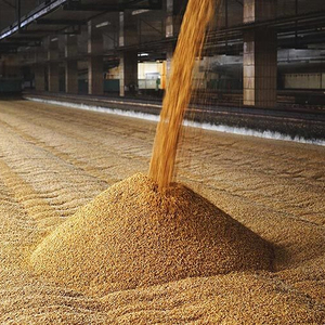 Gruaux d'orge décortiqués biologiques de haute qualité, sacs de 25kg, orge séchée sans OGM pour l'alimentation animale - Product Image 1
