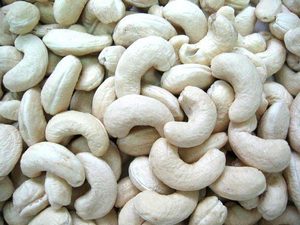 Organic Raw Cashew <b>Nuts</b> & <b>Kernels</b> WW320/W450 High Quality Low Price 2024 Factory Hanfimex - Product Image 5