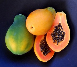 Papaya seca natural para exportación | Comida asiática - Product Image 5
