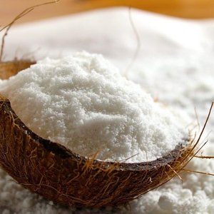 Noix de coco desséchée à faible teneur en matières grasses/noix de coco desséchée - Product Image 6