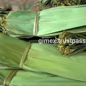 Hojas de Bambú Secas para Envolver Pasteles, Empaque de 30 kg, Procedente de Vietnam, GIMEX VIETNAM - Product Image 1