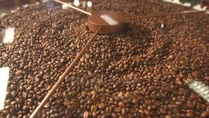 Café Robusta árabe, café verde, África, el mejor, barato - Product Image 6