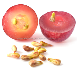 100% Aceite puro y herbal Suministro al por mayor Aceite de semilla de uva natural con propiedades antioxidantes - Product Image 3