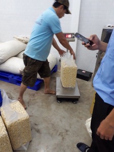 Noix de cajou brutes du Vietnam WW320 de qualité supérieure, blanches, en gros, pour l'exportation – Meilleures ventes - Product Image 5
