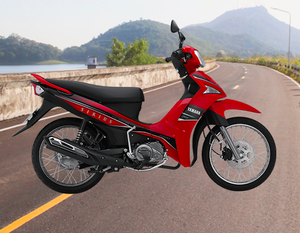 Frein à Disque pour Moto 115 cc - Product Image 2