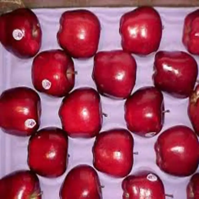 Vendita calda di Alta Qualità di Rosa di Apple Per Le Vendite Esportatore/Fresco A Buon Mercato Prezzo Fuji Mele (in scatola)
