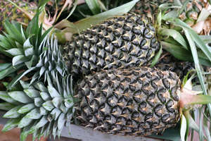 ANANAS DORÉ FRAIS - Product Image 5