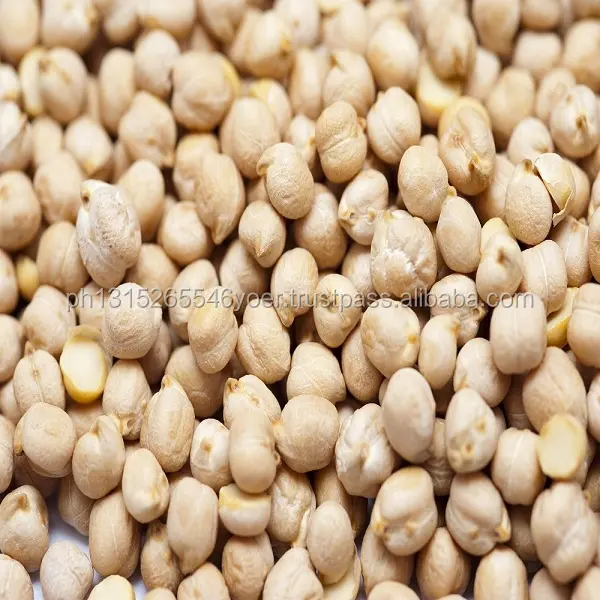 Kualitas Terbaik Kabuli Chickpeas/Kacang Garbanzo/Kacang Kedelai Desi