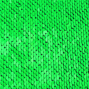<span class=keywords><strong>Verde</strong></span> y plata Color doble grande lentejuelas último tramo holograma lentejuelas tela - Product Image 2