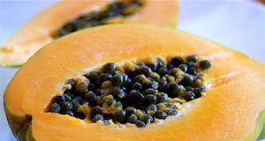 NUECES DE PAPAYA - Nueces de Papaya de Piel Amarilla de Vietnam - Product Image 4
