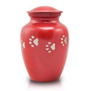 Urna Funeraria de Aluminio Europea Clásica Premium Dignity, Diseño Único con Patas Doradas, Color Negro para Cenizas de Mascotas - Product Image 3