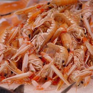 COQUILLE DE CREVETTES SÉCHÉES VIETNAMIENNE // POUDRE DE COQUILLE DE SHIRM SÉCHÉ - Product Image 2