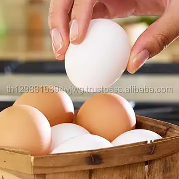 Wholesale Fresh Brown Table Eggs Chicken Eggs