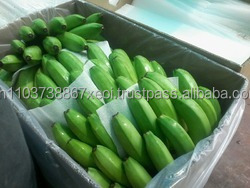 กล้วยสดอินทรีย์ในเวียดนาม - Product Image 4