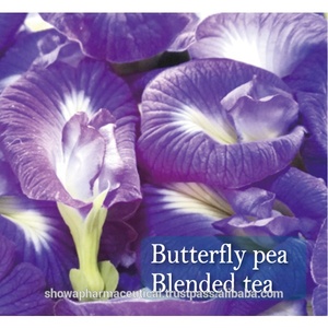 เครื่องดื่มเพื่อสุขภาพผลิตภัณฑ์สมุนไพรเพื่อสุขภาพ Butterfly Pea เสริมชาเพื่อการแพทย์ผ่อนคลายดีท็อกซ์ญี่ปุ่นทำในประเทศญี่ปุ่น - Product Image 2