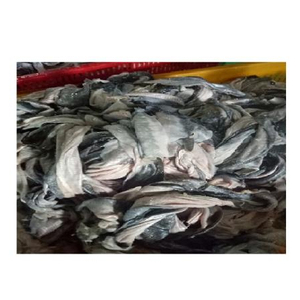 ปริมาณปลาดุกจำนวนมากสำหรับผู้นำเข้า - Product Image 1