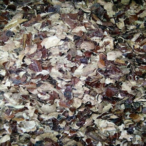 แกลบมะม่วงหิมพานต์ธรรมชาติ100% 2025เวียดนาม> 3มม. สำหรับใช้ในงานเกษตรกรรม - Product Image 6