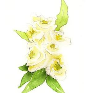 Precio al por mayor 100% aceite esencial puro natural de Cubeba para el cuidado corporal y la fabricación de velas - Product Image 5