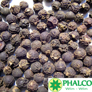 Pimienta Negra de Vietnam 570 GL, la Más Vendida, Calidad Premium, Gran Densidad, para Procesamiento de Alimentos y Suministro Global - Product Image 6