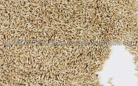 Graine et mélange de graines pour canaris de haute qualité de haute qualité à vendre Fournitures pour oiseaux de qualité supérieure - Product Image 3