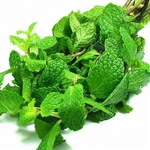 Private Label <b>Peppermint</b> Essential <b>Oil</b> Manufacturer High Menthol Content <b>Peppermint</b> <b>Oil</b> Exporter for Cosmetics and Soap Making - Product Image 5