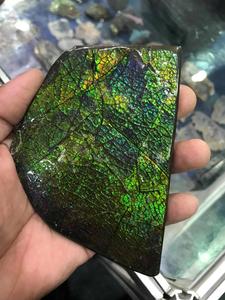 Đá Tự Nhiên <span class=keywords><strong>Ammolite</strong></span> Nguyên Liệu Thô Uncut Bán Buôn Chất Lượng Cao Và Nhà Máy Giá - Product Image 4