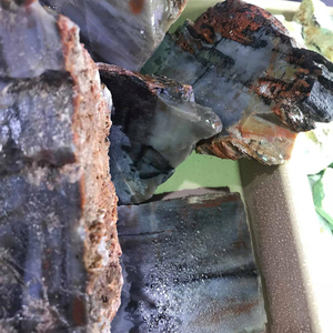 Pierres précieuses naturelles de dracauste en bois naturel, prix de gros, livraison gratuite