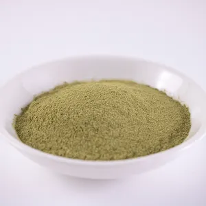 MIT kabarcık çay anında toz Matcha 2 in 1 YEŞİL ÇAY tozu