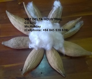 100% NATURAL VIET NAM KAPOK <b>for</b> <b>BIRD</b> <b>NET</b> New Arrival Cotton Cotton Bales - Product Image 6