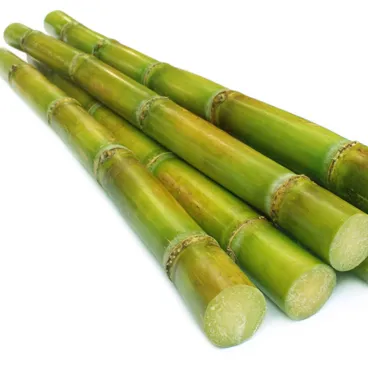 Vietnam Fresh Sugarcane Frozen for Exporting