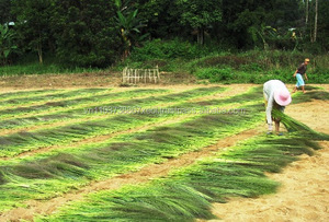 Escoba de césped, material sin procesar, a la venta en 2020 - Product Image 4