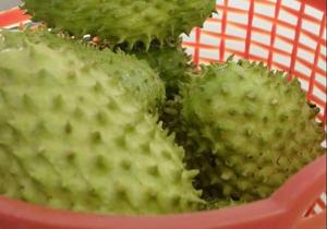 Graviola frais-corossol-fruits du Vietnam 2024 - Product Image 3