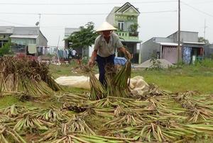 Sustainable Water Hyacinth Woven Storage <b>Basket</b> Colorful Wood Laundry Organizer and <b>Plant</b> Source Textile Fiber Source - Product Image 5
