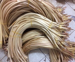 รากบัวบางเกรด- รากบัวดอง-รากบัวหั่น - Product Image 3